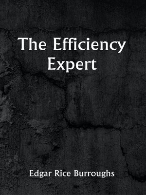 cover image of The Efficiency Expert